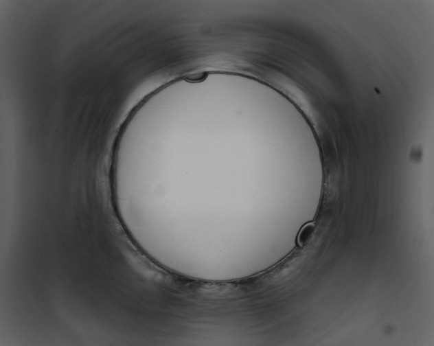 X0000101201146200807181528