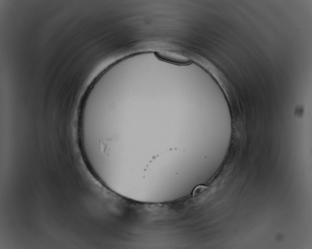 X0000101201147200807181528