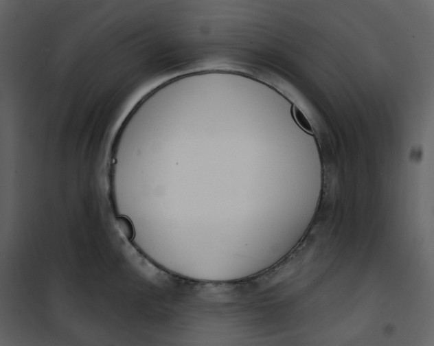 X0000101201148200807181528