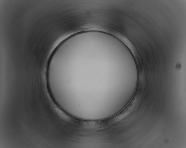 X0000101201149200807181528