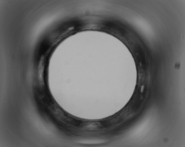 X0000101201150200807181528