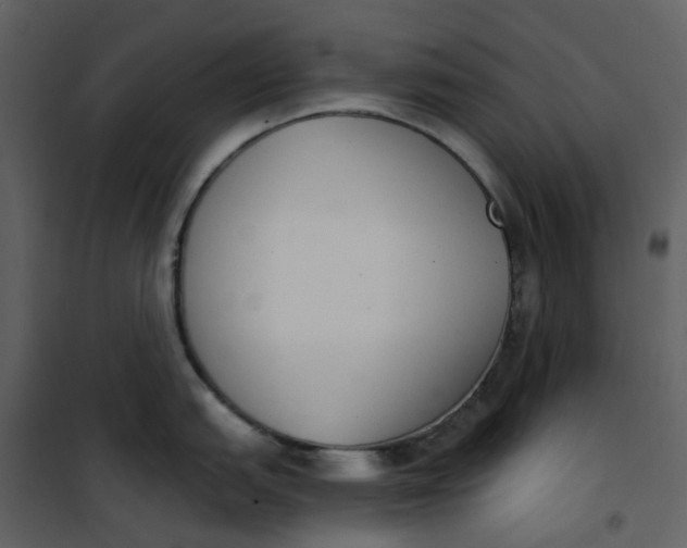 X0000101201151200807181528