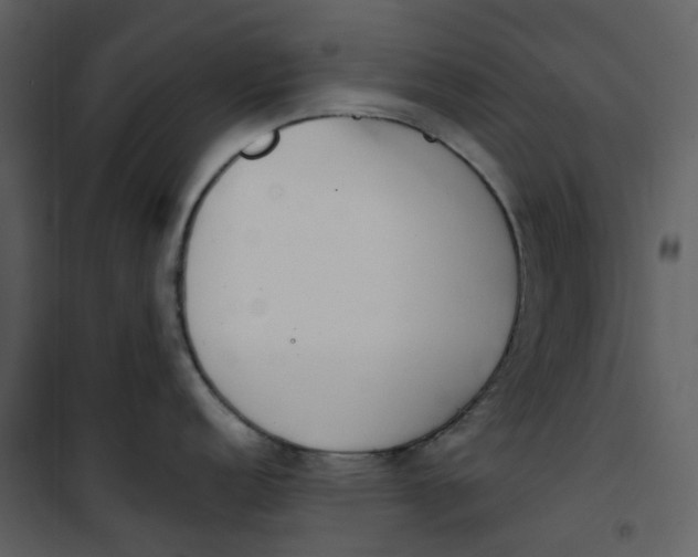 X0000101201152200807181528