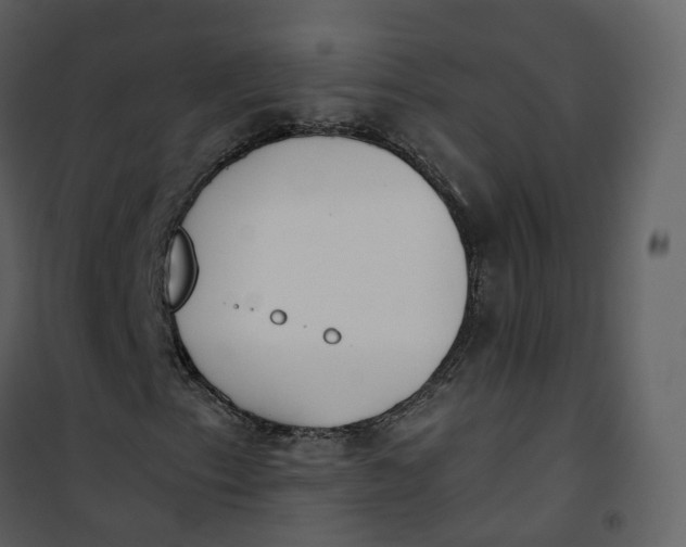 X0000101201153200807181528