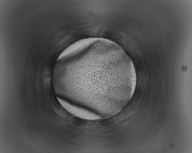 X0000101201154200807181528