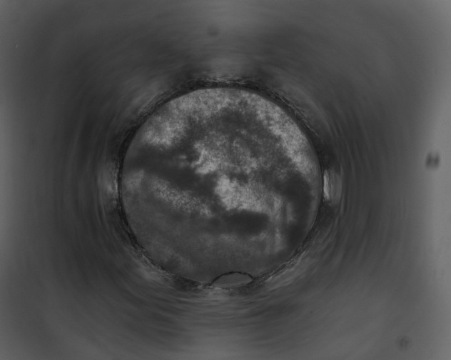 X0000101201155200807181528