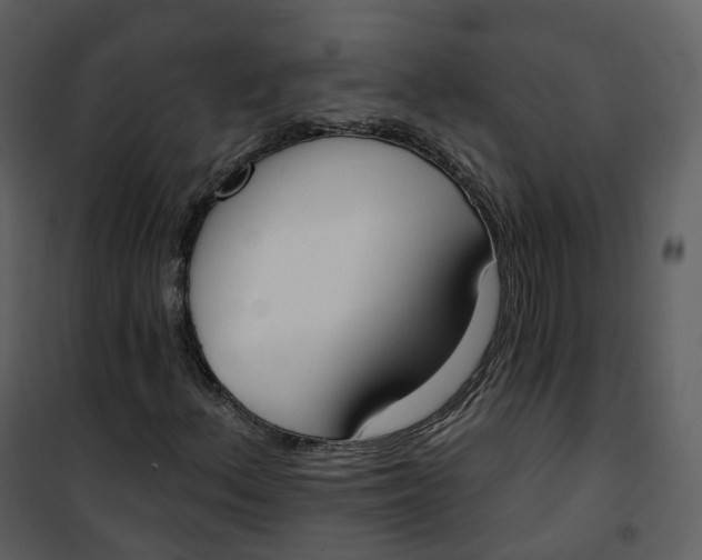 X0000101201156200807181528