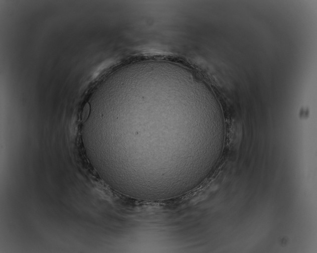 X0000101201157200807181528