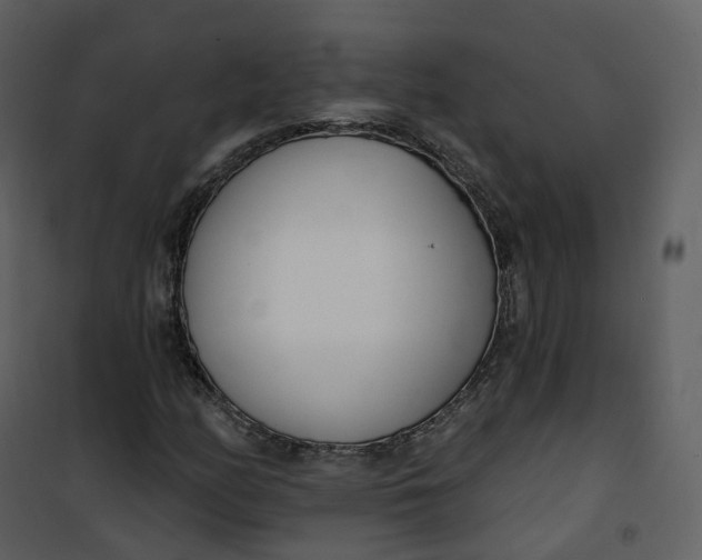 X0000101201158200807181528