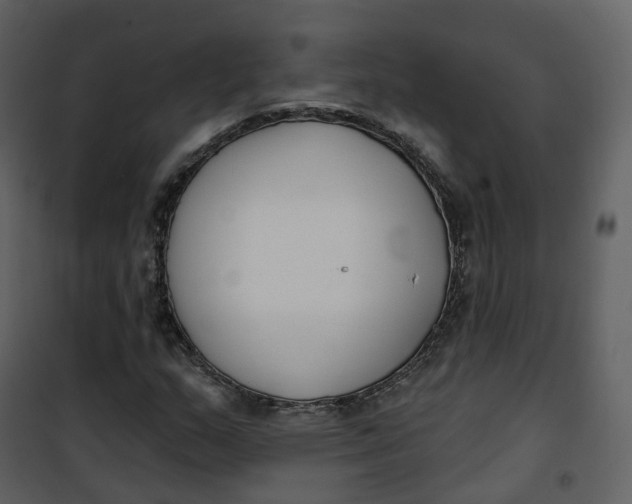 X0000101201159200807181528