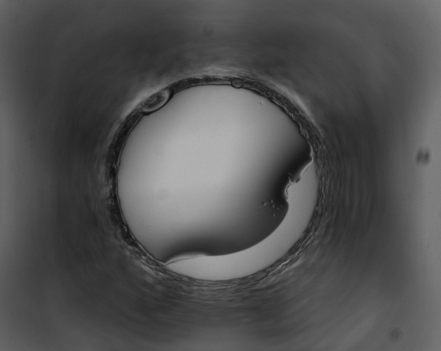 X0000101201160200807181528