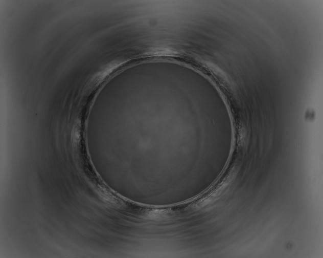 X0000101201161200807181528