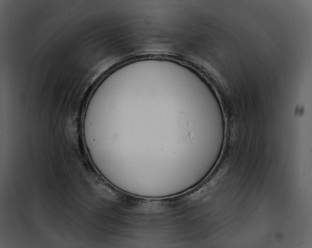 X0000101201162200807181528