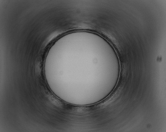 X0000101201163200807181528