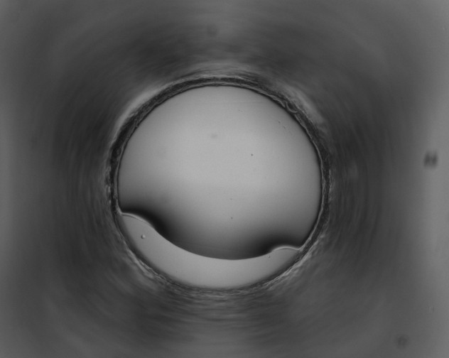 X0000101201164200807181528