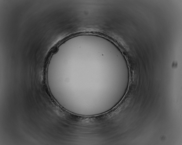 X0000101201165200807181528