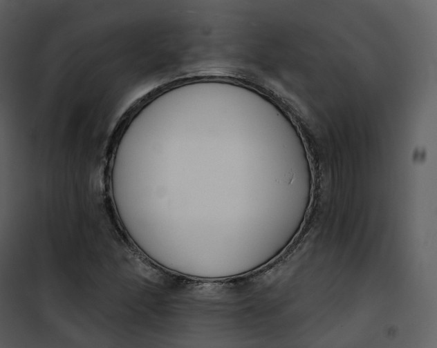 X0000101201166200807181528