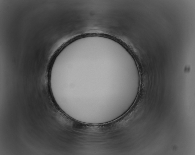 X0000101201167200807181528