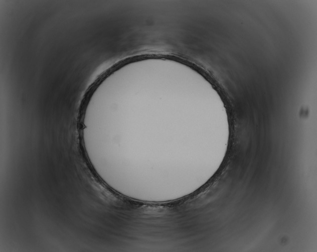 X0000101201168200807181528