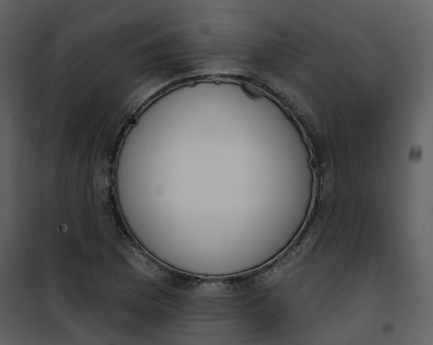 X0000101201169200807181528