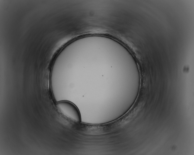 X0000101201171200807181528