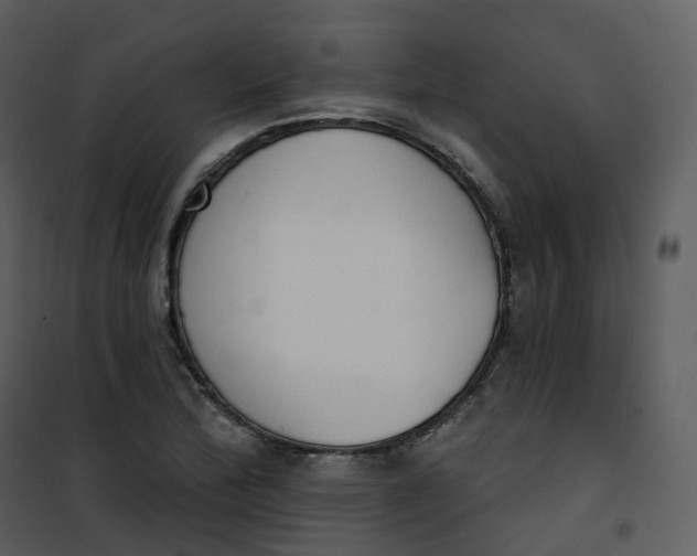 X0000101201172200807181528