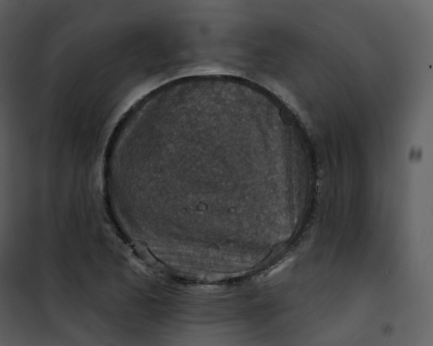 X0000101201173200807181528