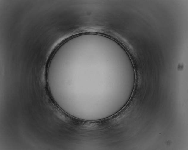 X0000101201174200807181528