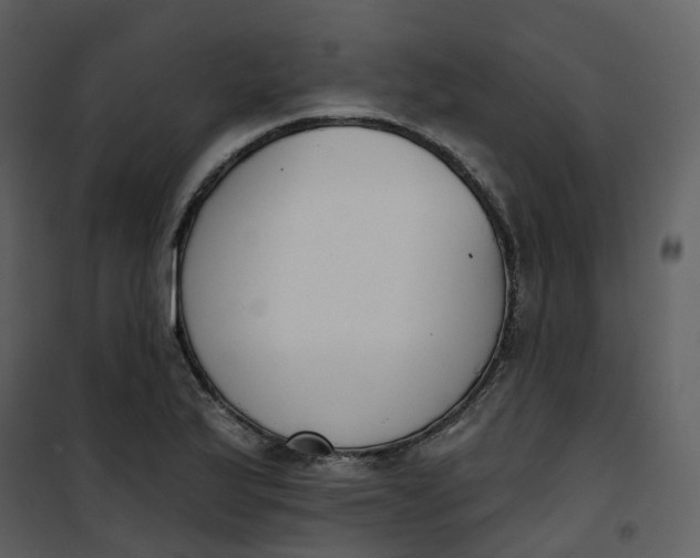 X0000101201175200807181528