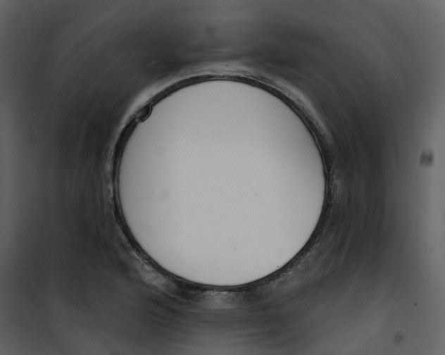 X0000101201176200807181528