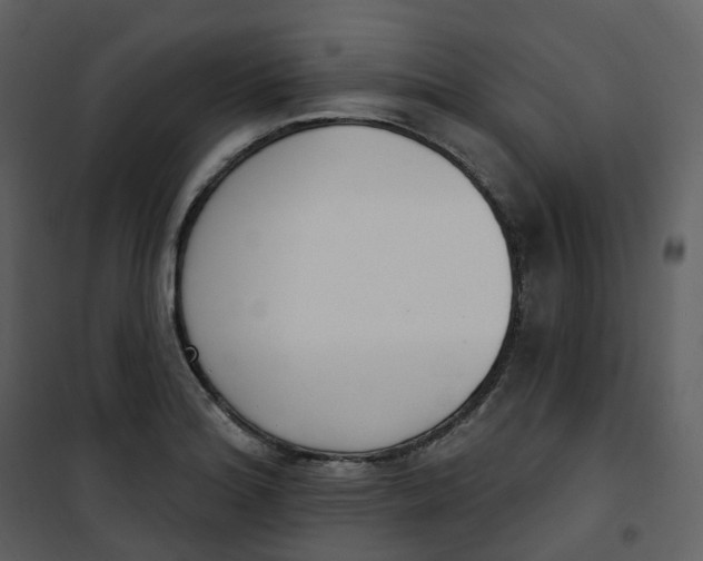 X0000101201180200807181527