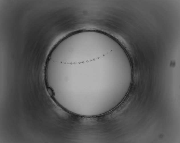 X0000101201183200807181527