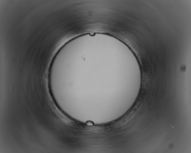 X0000101201187200807181527