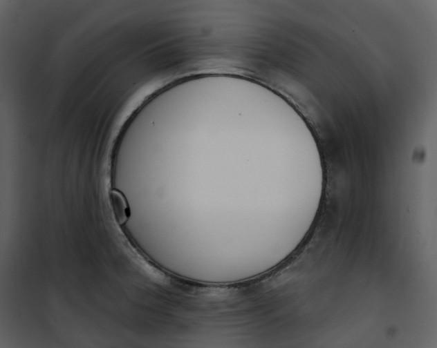 X0000101201188200807181527