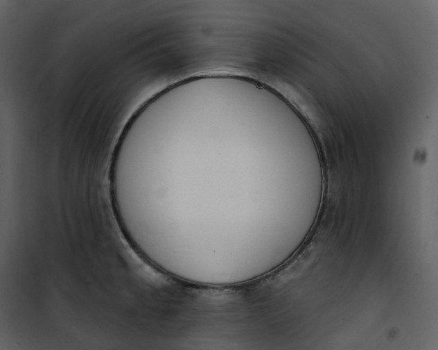 X0000101201189200807181527