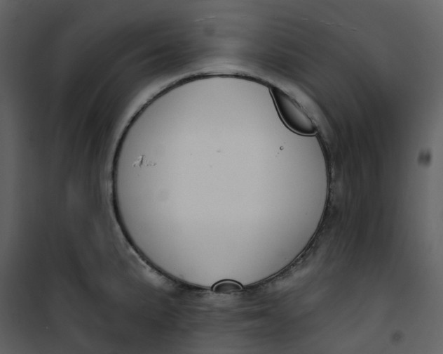 X0000101201191200807181527