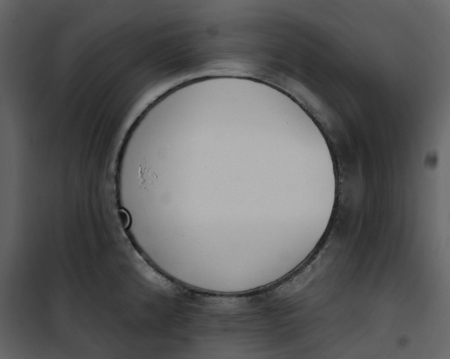 X0000101201192200807181527