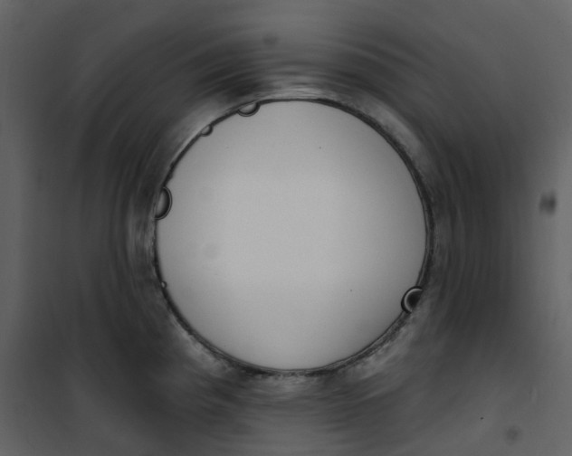 X0000101201193200807181527