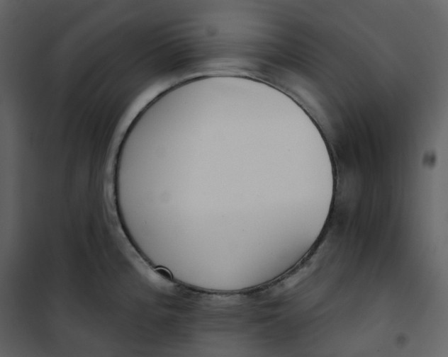 X0000101201196200807181527