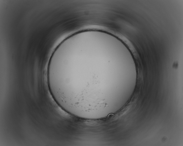 X0000101201199200807181527