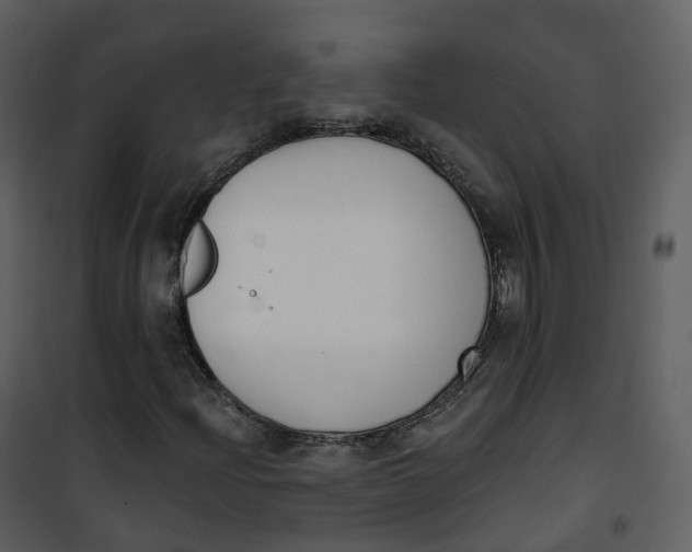 X0000101201204200807181526