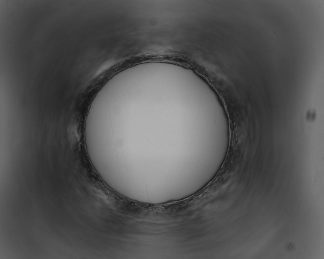 X0000101201206200807181526