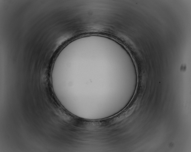 X0000101201210200807181527