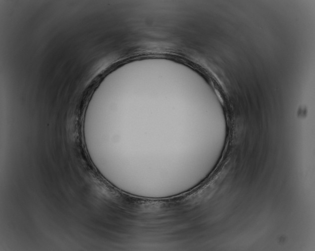 X0000101201211200807181527