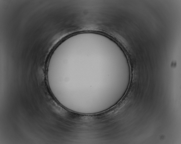 X0000101201212200807181527