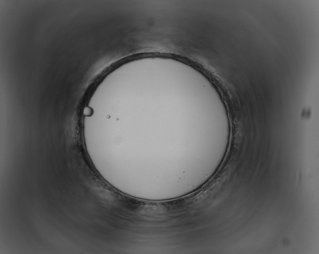 X0000101201215200807181527