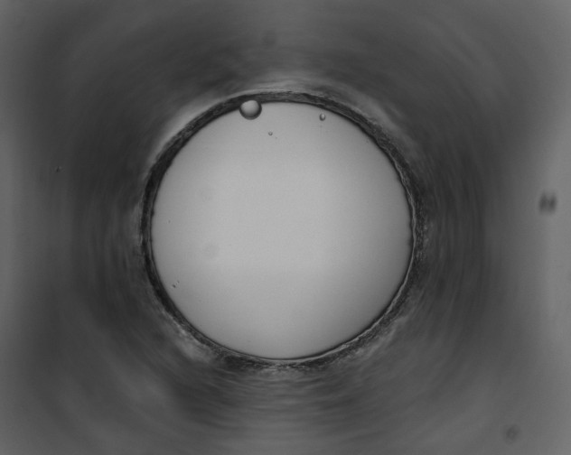 X0000101201216200807181527