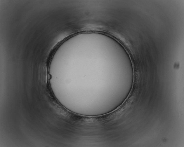 X0000101201219200807181527