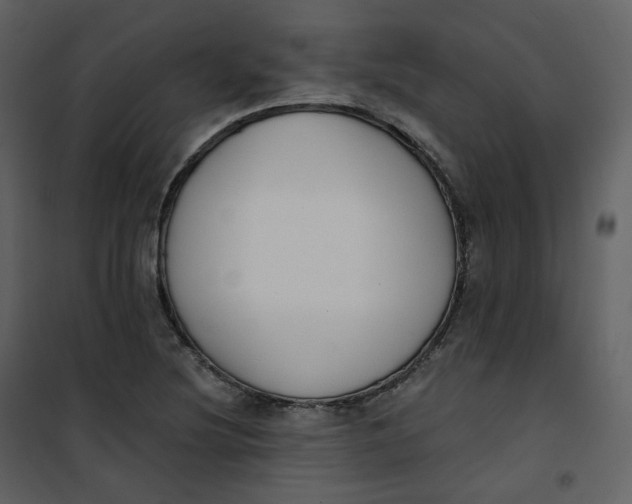 X0000101201220200807181527