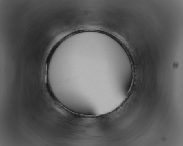 X0000101201223200807181527